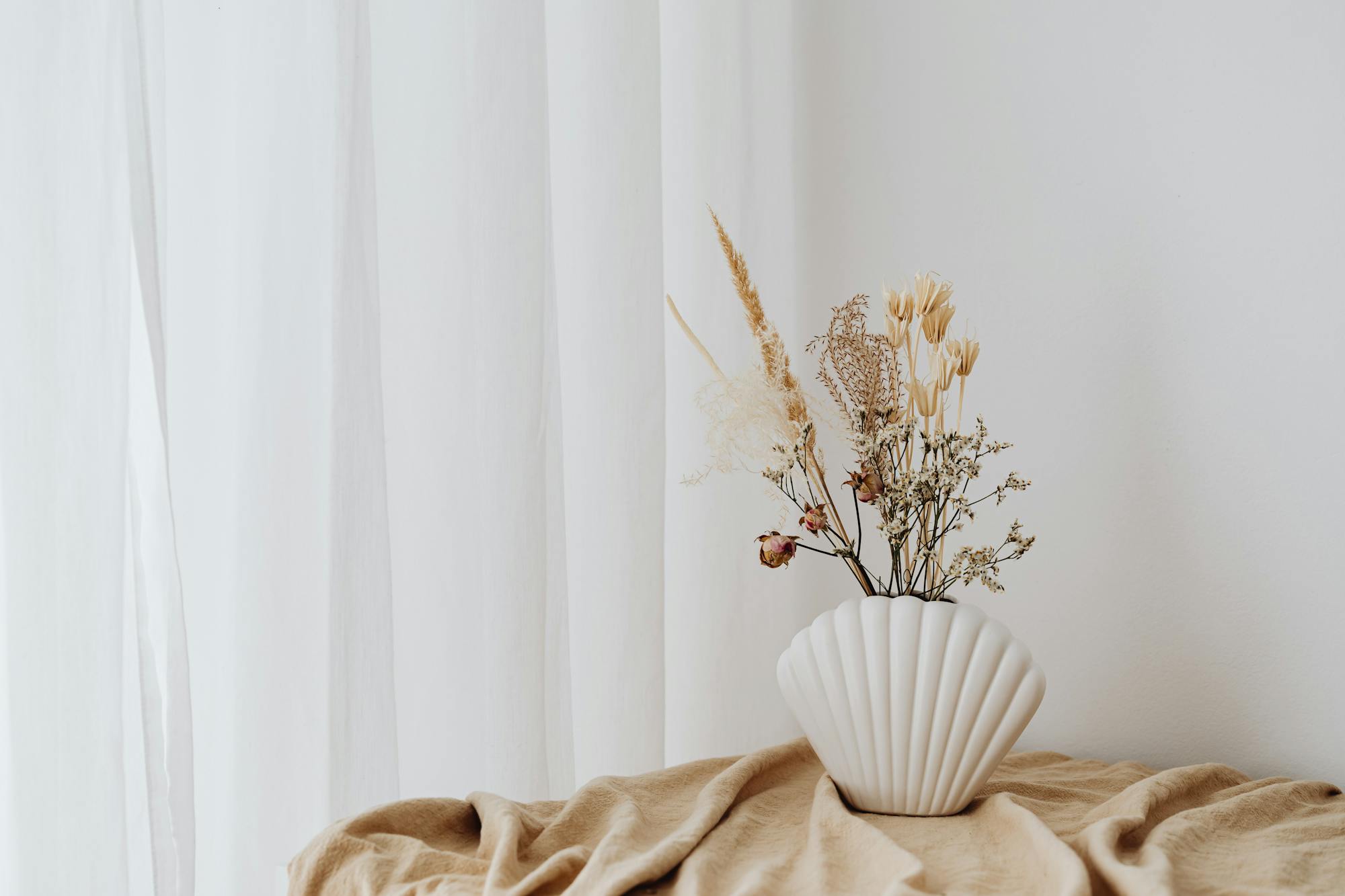 Beautiful white shell vase with dried flowers